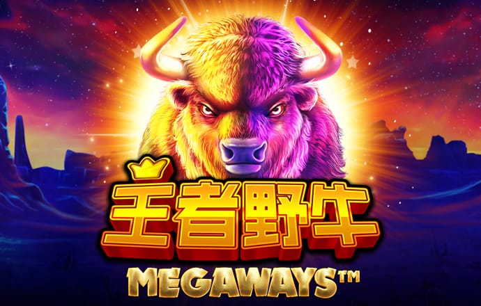 bobty官网登录